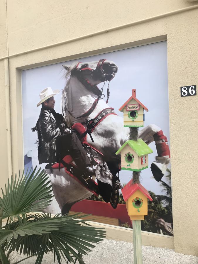 Pousada Recanto Do Cowboy Penha  Zewnętrze zdjęcie
